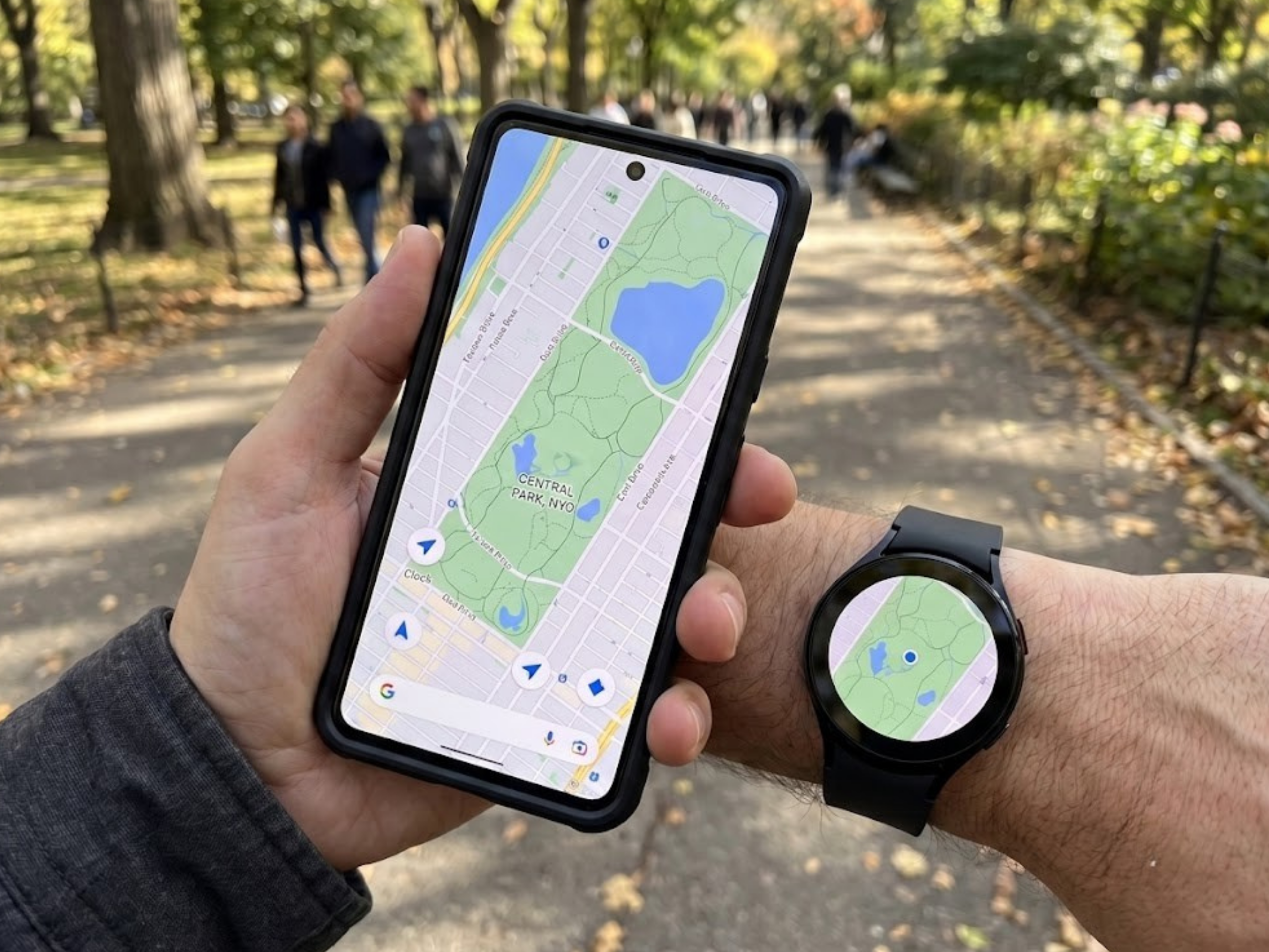 Privacy and Alerts